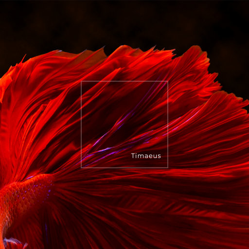 性做爰过程免费观看下载
